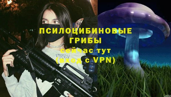 гашик Надым
