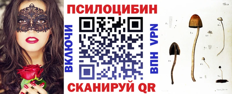 хочу   Цивильск  Псилоцибиновые грибы ЛСД 
